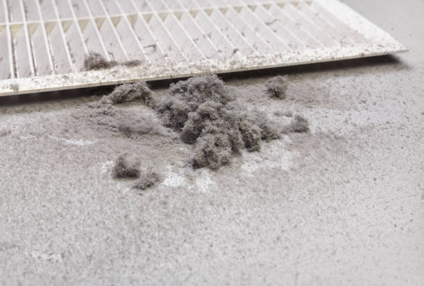 Best Affordable HVAC Duct Cleaning  in Torrington, CT