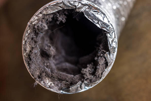 Best Air Duct Cleaning Near Me  in Torrington, CT